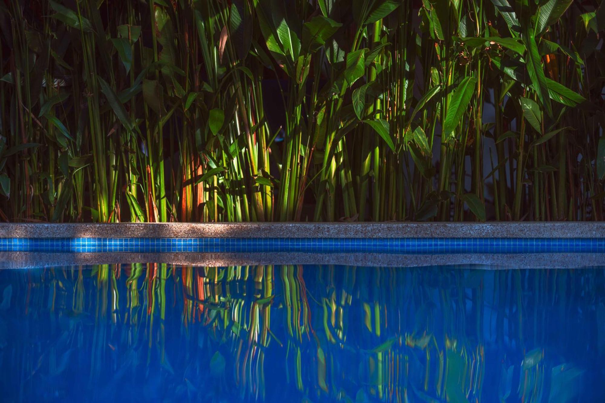 Black Bamboo Puerto Viejo de Talamanca Exteriér fotografie