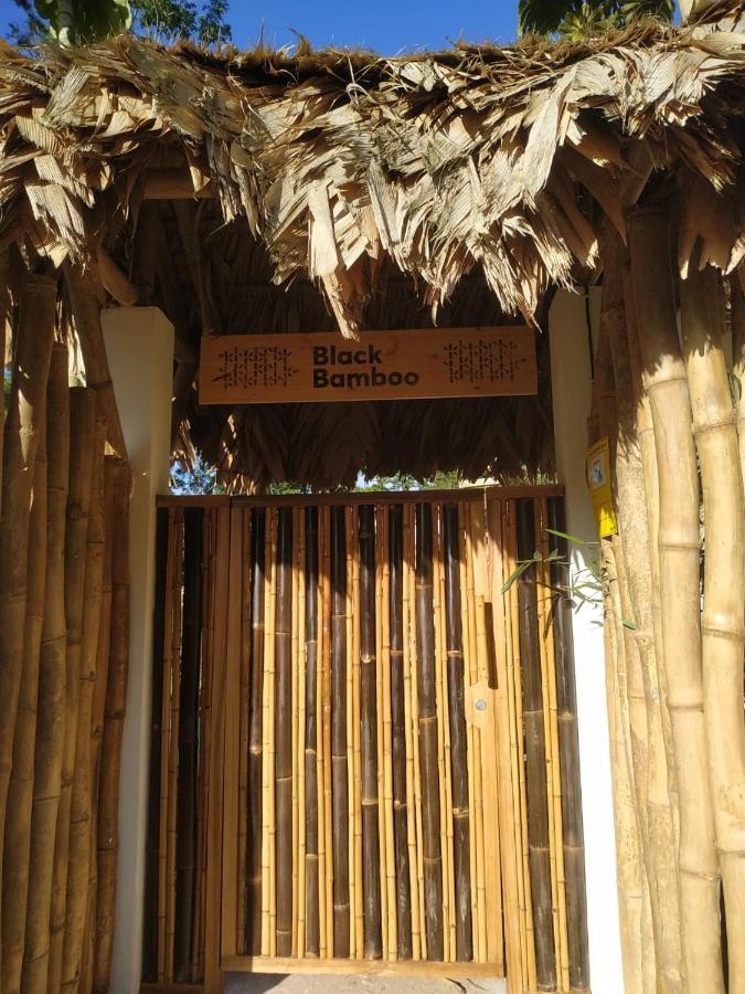 Black Bamboo Puerto Viejo de Talamanca Exteriér fotografie